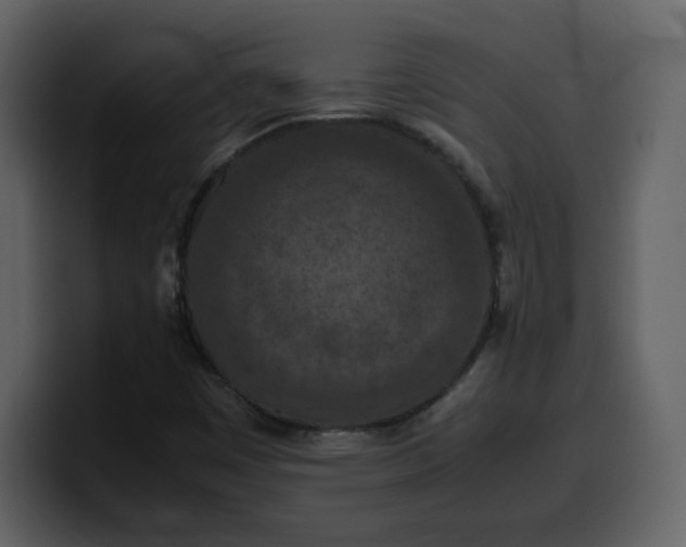 X0000100341449200806191014