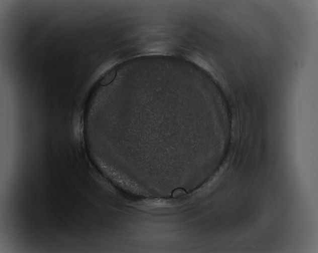 X0000100341450200806191014