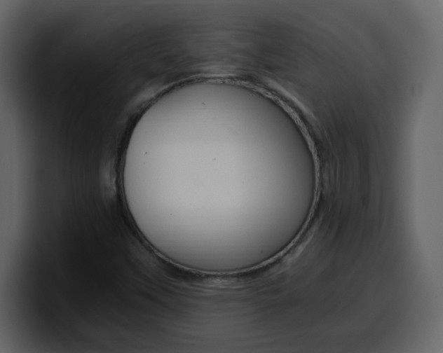 X0000100341451200806191014