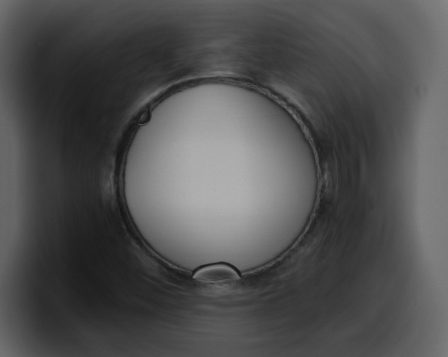 X0000100341452200806191014