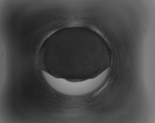 X0000100341453200806191014