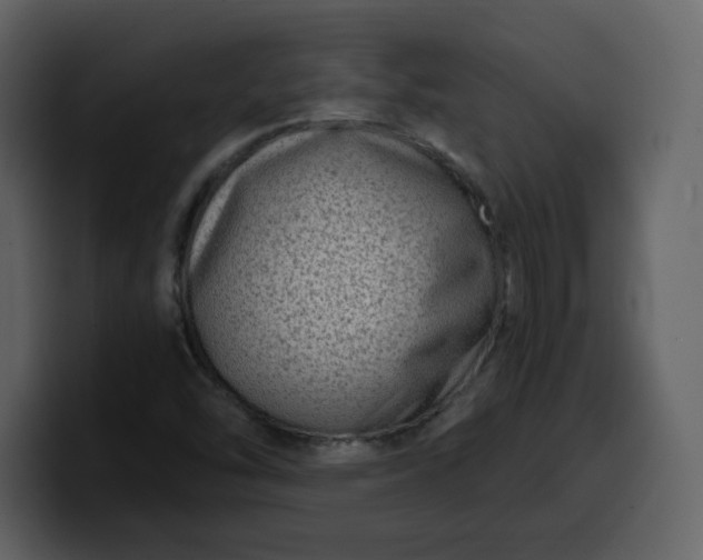 X0000100341454200806191014