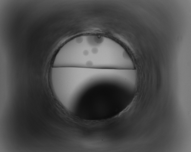 X0000100341455200806191014