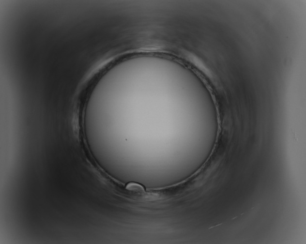 X0000100341456200806191014