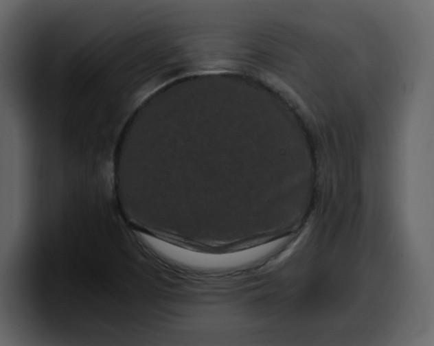 X0000100341457200806191014