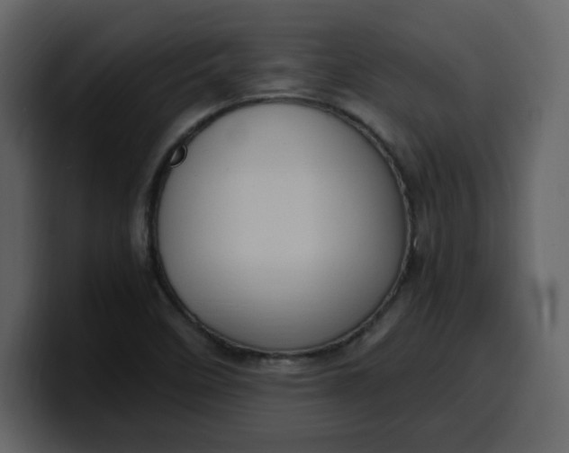 X0000100341458200806191014