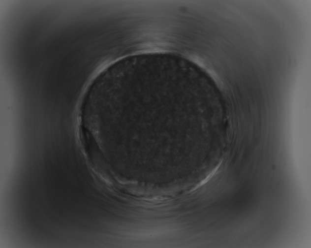 X0000100341459200806191014