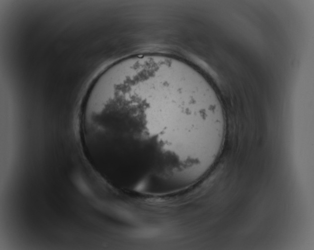 X0000100341463200806191014