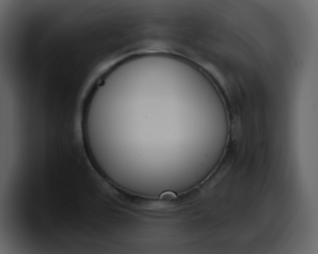 X0000100341464200806191014