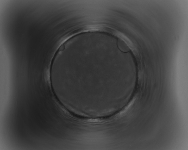 X0000100341465200806191014