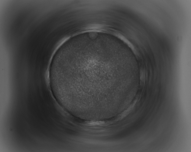 X0000100341466200806191014