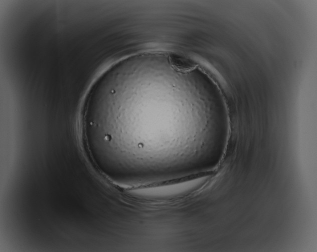 X0000100341467200806191014