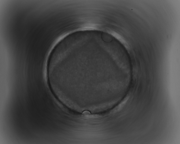 X0000100341469200806191014