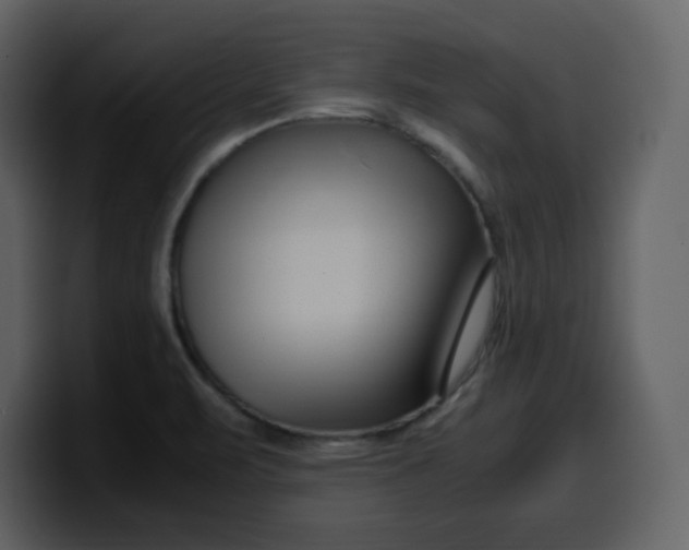 X0000100341471200806191014