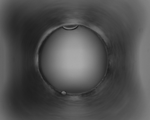 X0000100341472200806191014