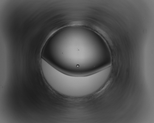 X0000100341473200806191014