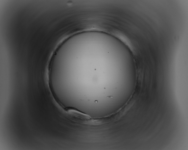 X0000100341476200806191014