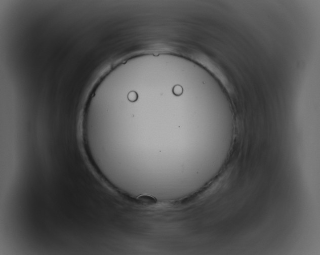 X0000100341477200806191014