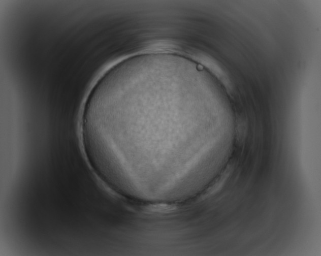 X0000100341478200806191014