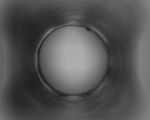 X0000100341479200806191014