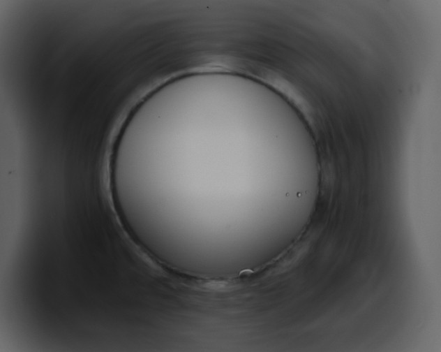 X0000100341480200806191014