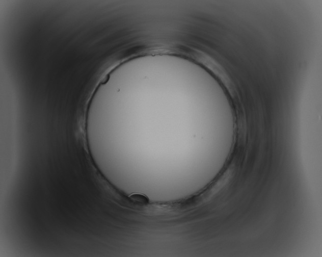 X0000100341481200806191014