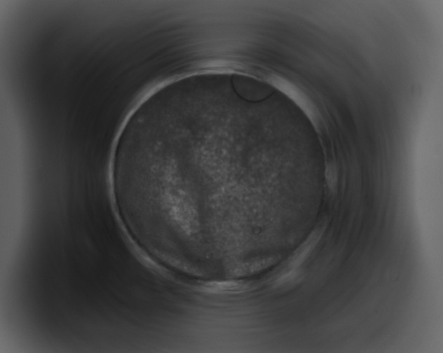 X0000100341482200806191014