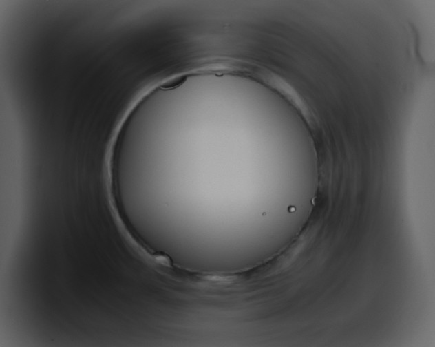 X0000100341483200806191014