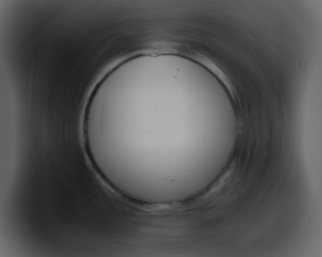 X0000100341485200806191014