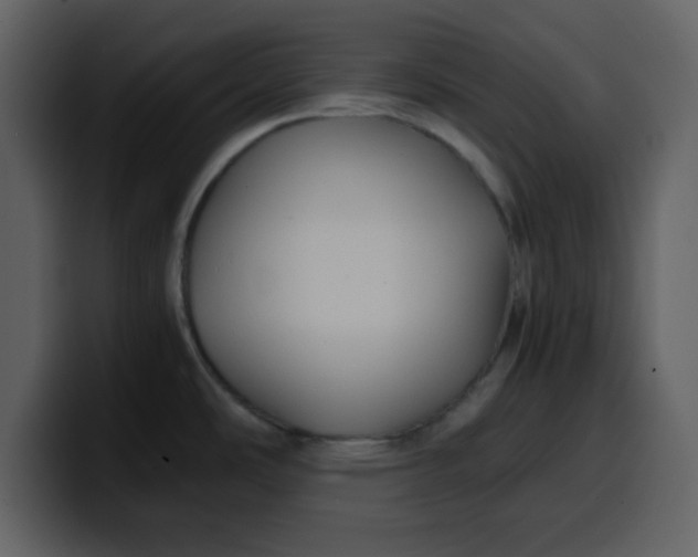 X0000100341486200806191014