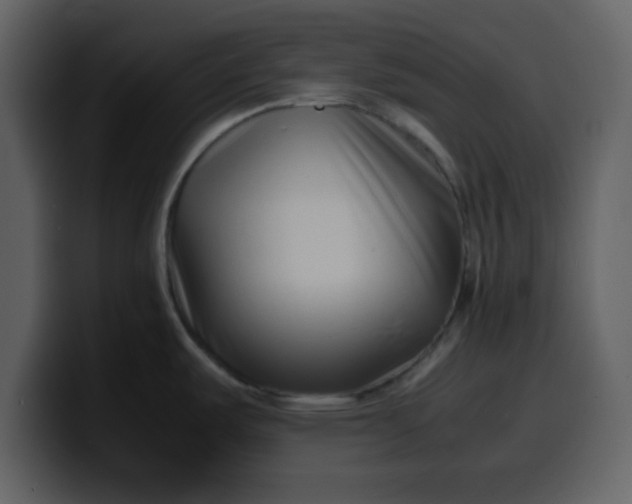 X0000100341487200806191014