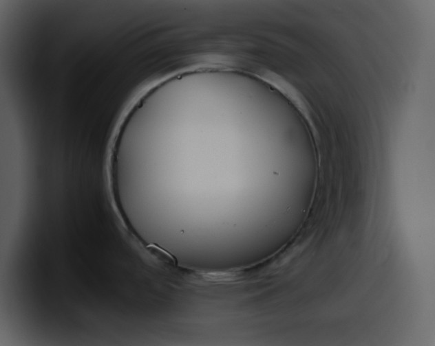 X0000100341488200806191014