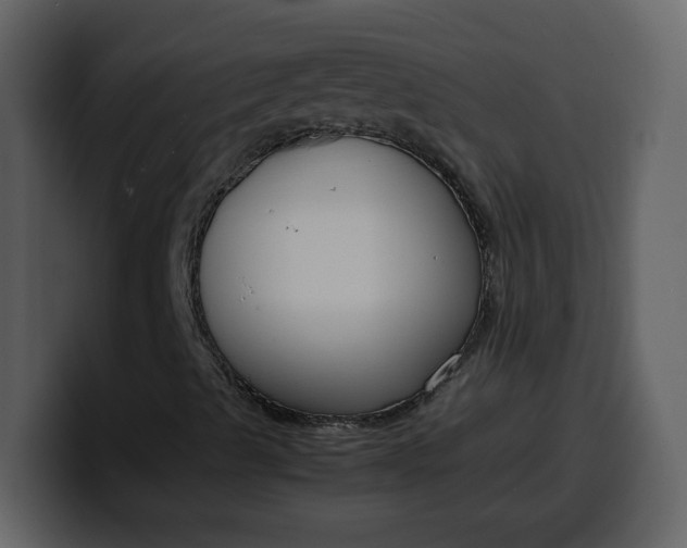 X0000100341489200806191013