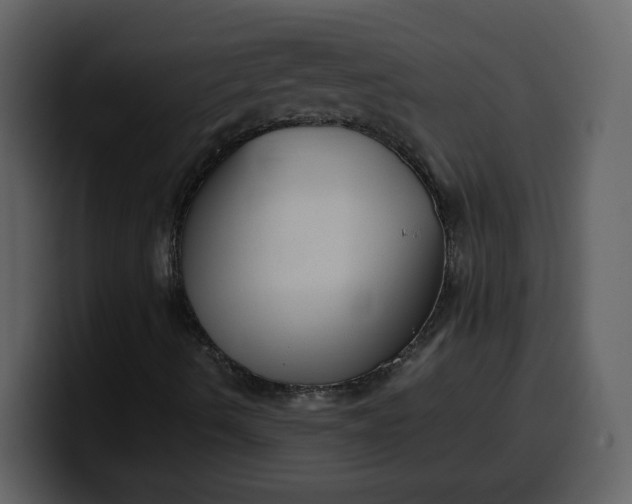 X0000100341490200806191013