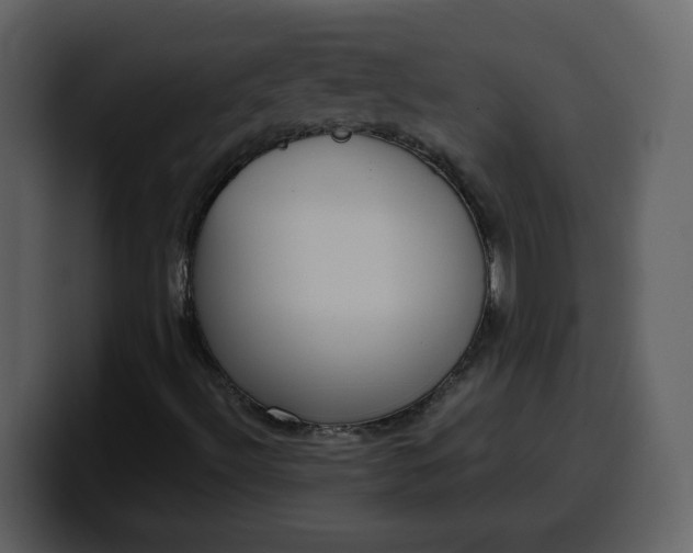 X0000100341492200806191013