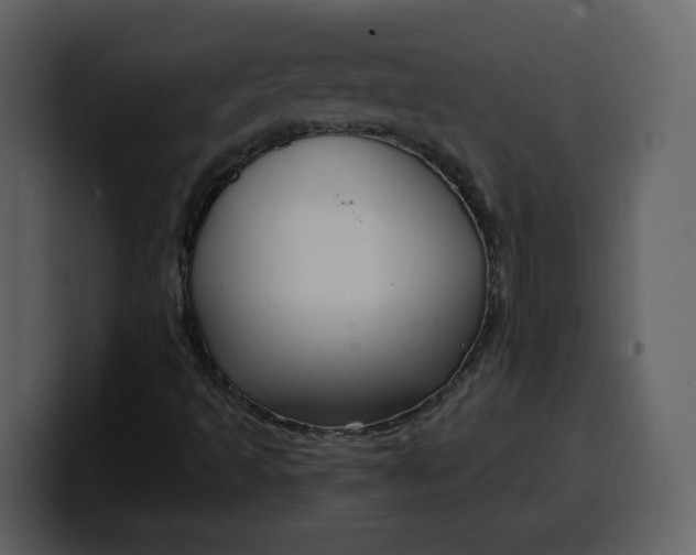 X0000100341493200806191013