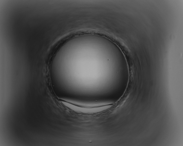 X0000100341494200806191013