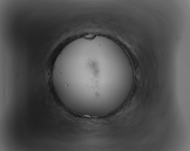 X0000100341495200806191013