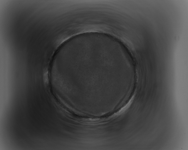 X0000100341497200806191013