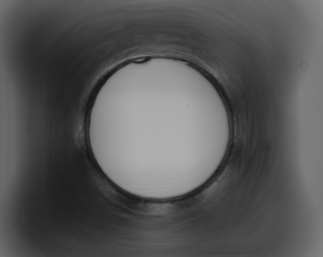 X0000100341498200806191013