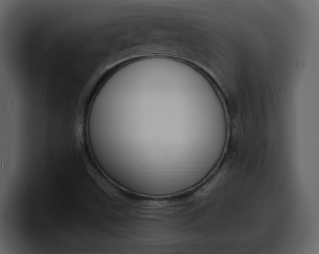 X0000100341499200806191013