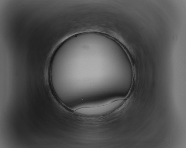 X0000100341500200806191013