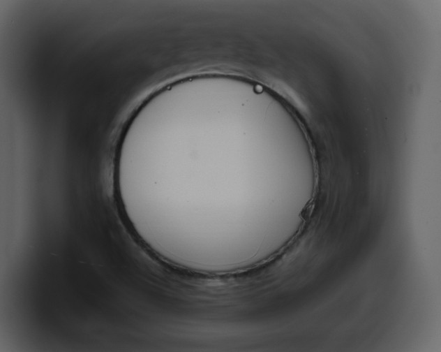 X0000100341504200806191013