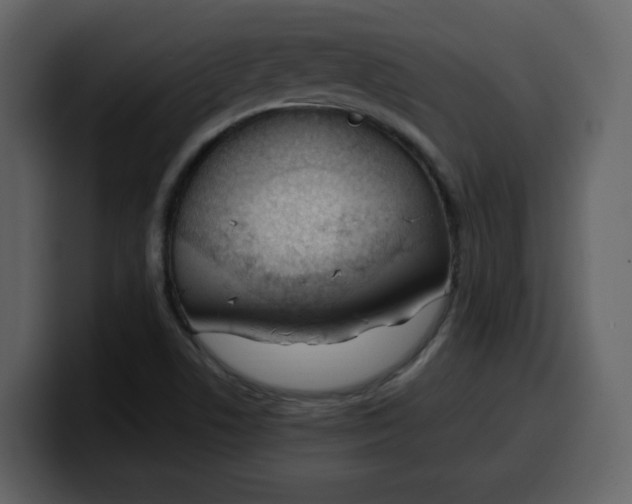 X0000100341506200806191013