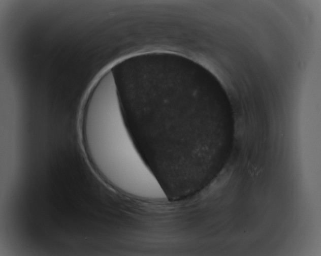 X0000100341508200806191013