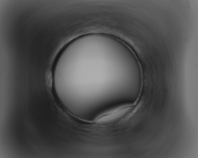 X0000100341509200806191013