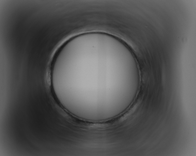 X0000100341510200806191013