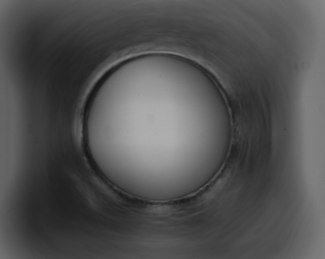 X0000100341511200806191013