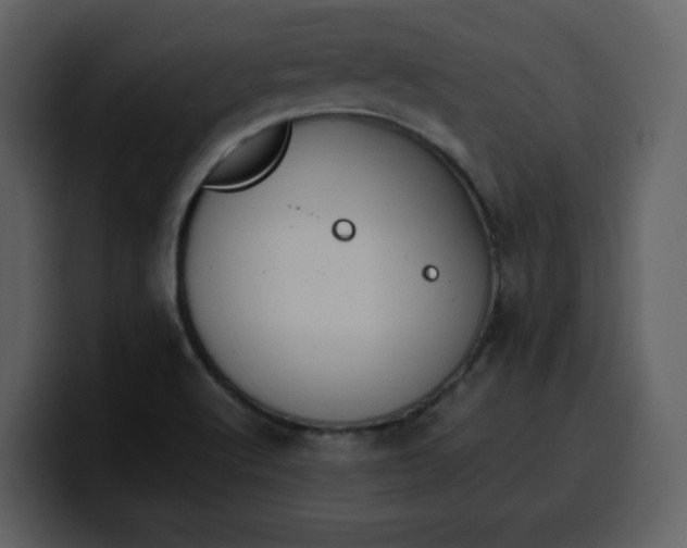 X0000100341512200806191013