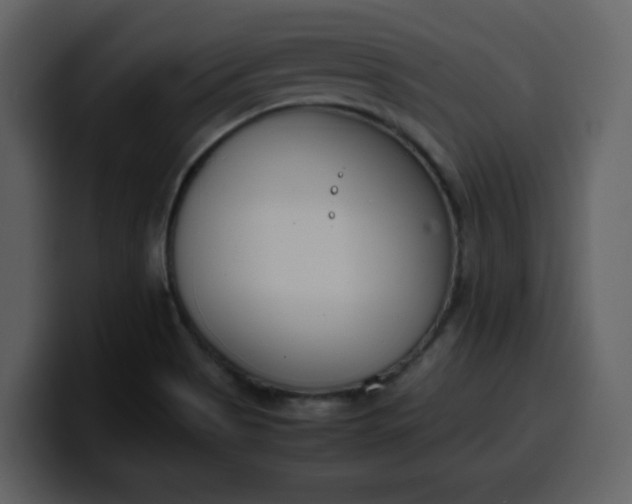 X0000100341513200806191013